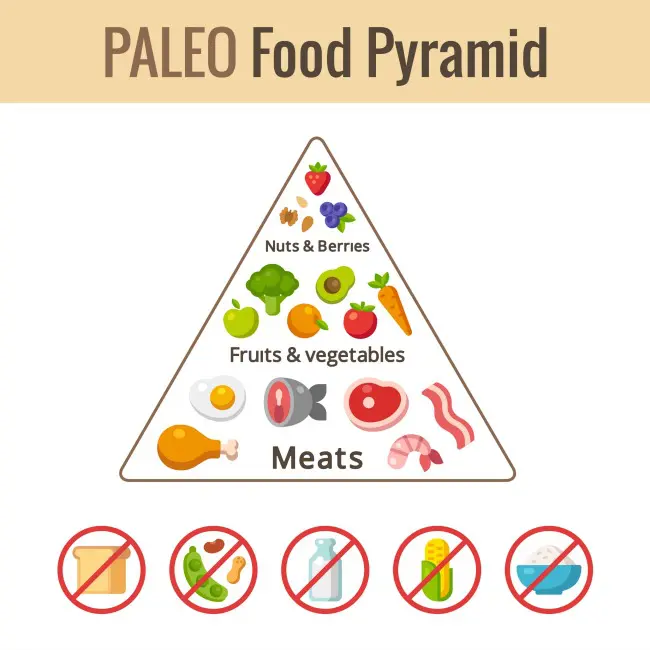 paleo food pyramid