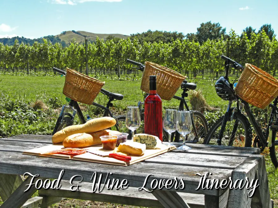 New Zealand food and wine travel itinerary