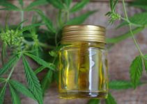 Why you Should Try CBD for Health and Wellness In 2024