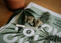 7 Cannabis Withdrawal Symptoms: How to Get Rid of Them?