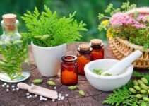Do Herbs and Herbal Drugs Help in Curing Diabetes?