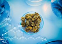 The Potentiality of THC-O in Multiple Industries