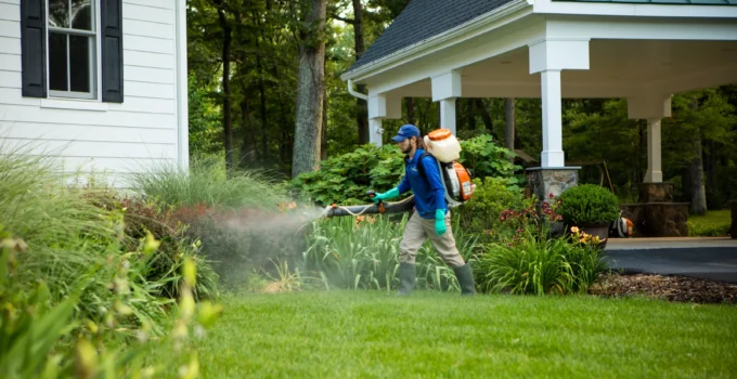 What Is The Most Effective Mosquito Control For Your Patio or Garden?