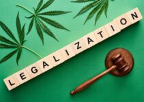 Legalization and Use of Weed