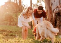 5 Most Common Dog Care Questions