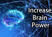 Boost Your Brain Power ─ Tips That Will Help You Think Faster, Work Smarter and Stay Focused