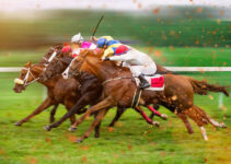 How to Bet on Horse Racing