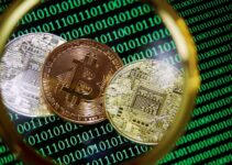 How Do Beginners Buy Bitcoins?