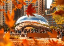 5 Things to Do in Chicago in Autumn