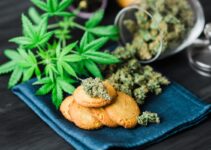 Cannabis for Beginners ─ Guide to Buying Cannabis Edibles