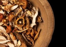 Top 7 Mushrooms For Immunity And Health Support