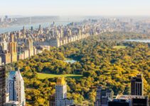 Moving to the Big Apple: Essential Tips for a Smooth Transition to New York
