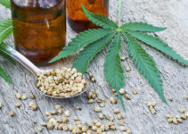 How Can CBD Oil Be Added To Your Lifestyle Hassle Free In 2023?