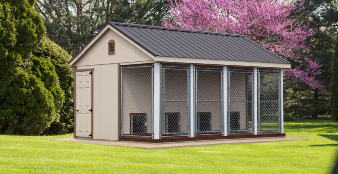 Dog Kennel Essentials ─ Must-Have Features For A Functional And Comfortable Enclosure
