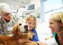 Pawsitive Support ─ Exploring the Role of Therapy Dogs in Different Settings