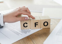 Financial Expertise on Demand ─ The Power of a Fractional CFO