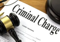 Defending Your Case ─ Identifying Possible Strategies for Charges